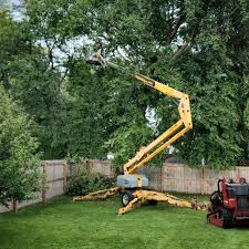 Best Tree Health Inspection  in Overland Park, KS